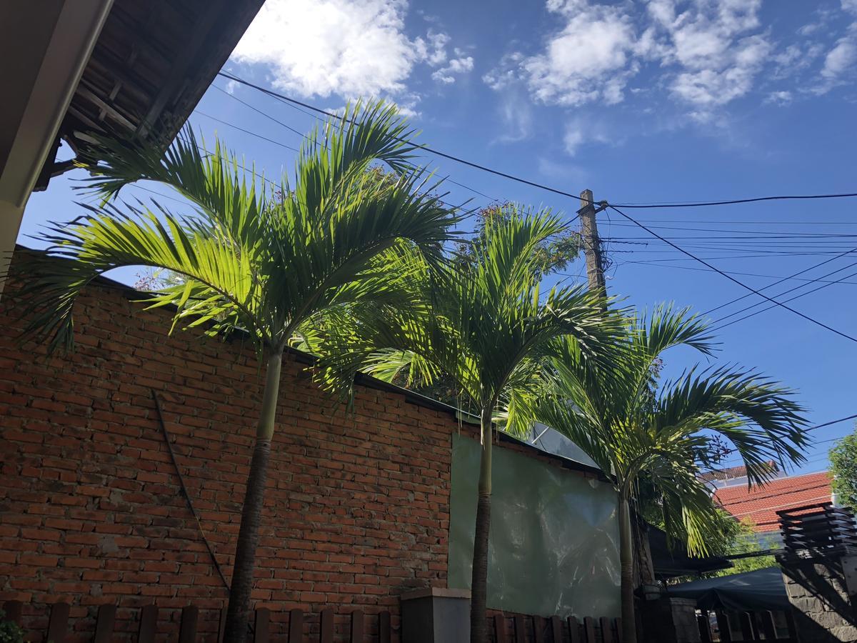 Three Palms Homestay Хойан Экстерьер фото